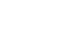 Noctua Logo