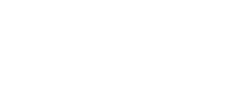 Noctua